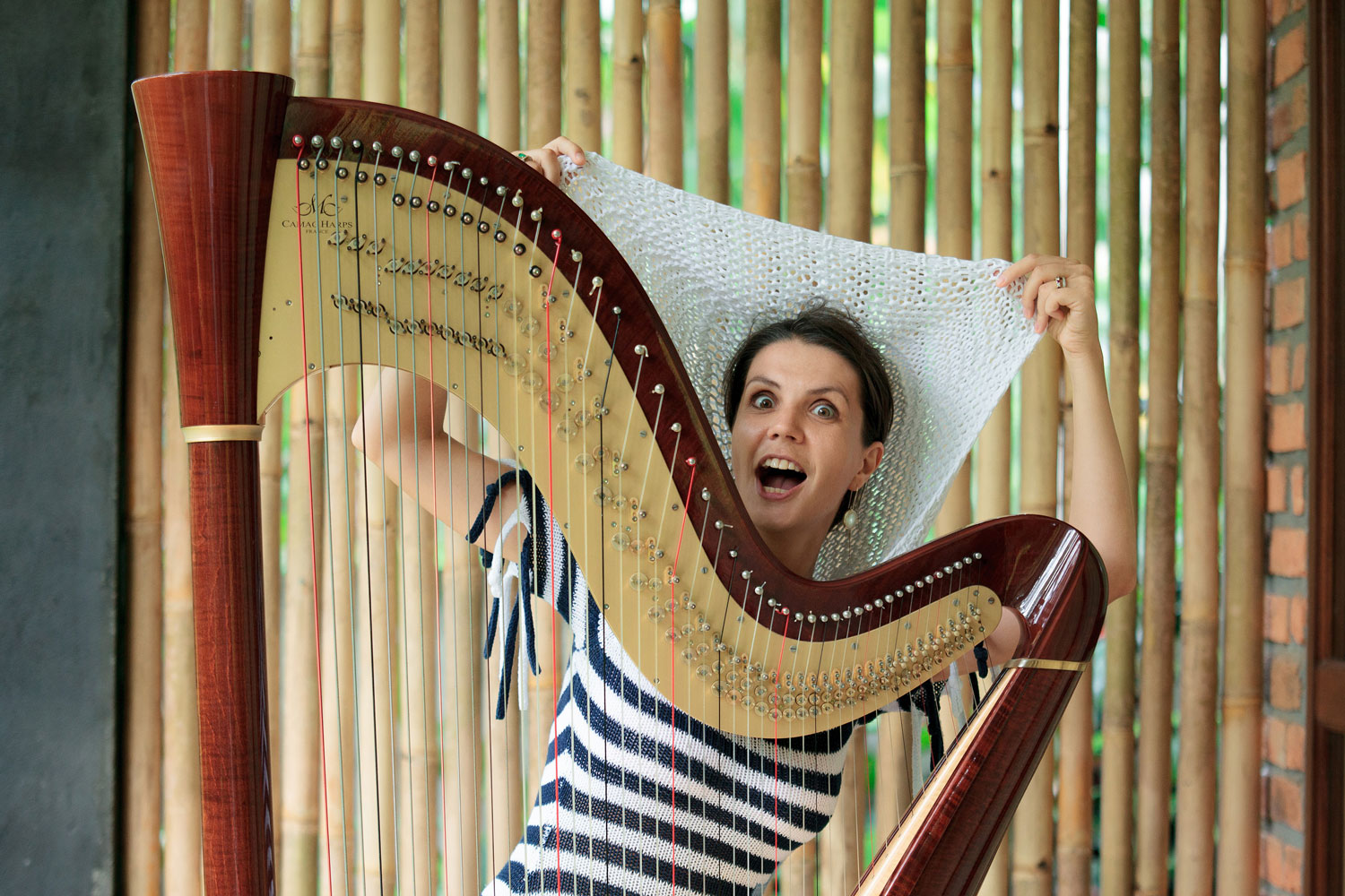 Harp lesson bali