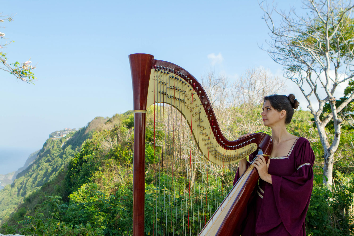 Female harpist Bali