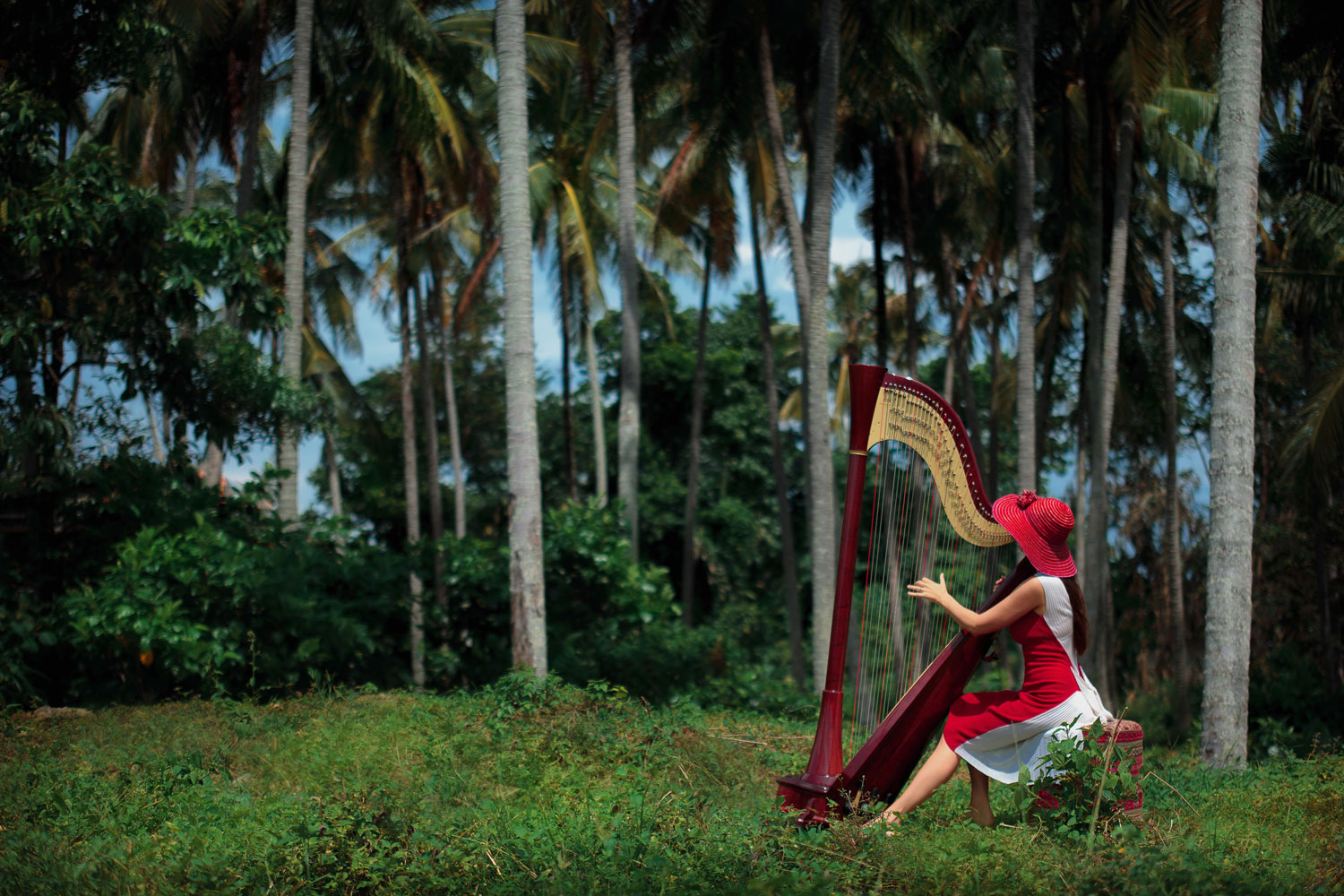 Harp wedding music Bali Indonesia